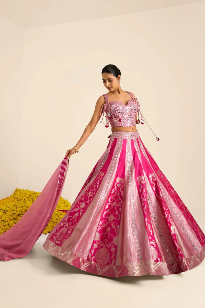 Fuscia panelled Lehenga set