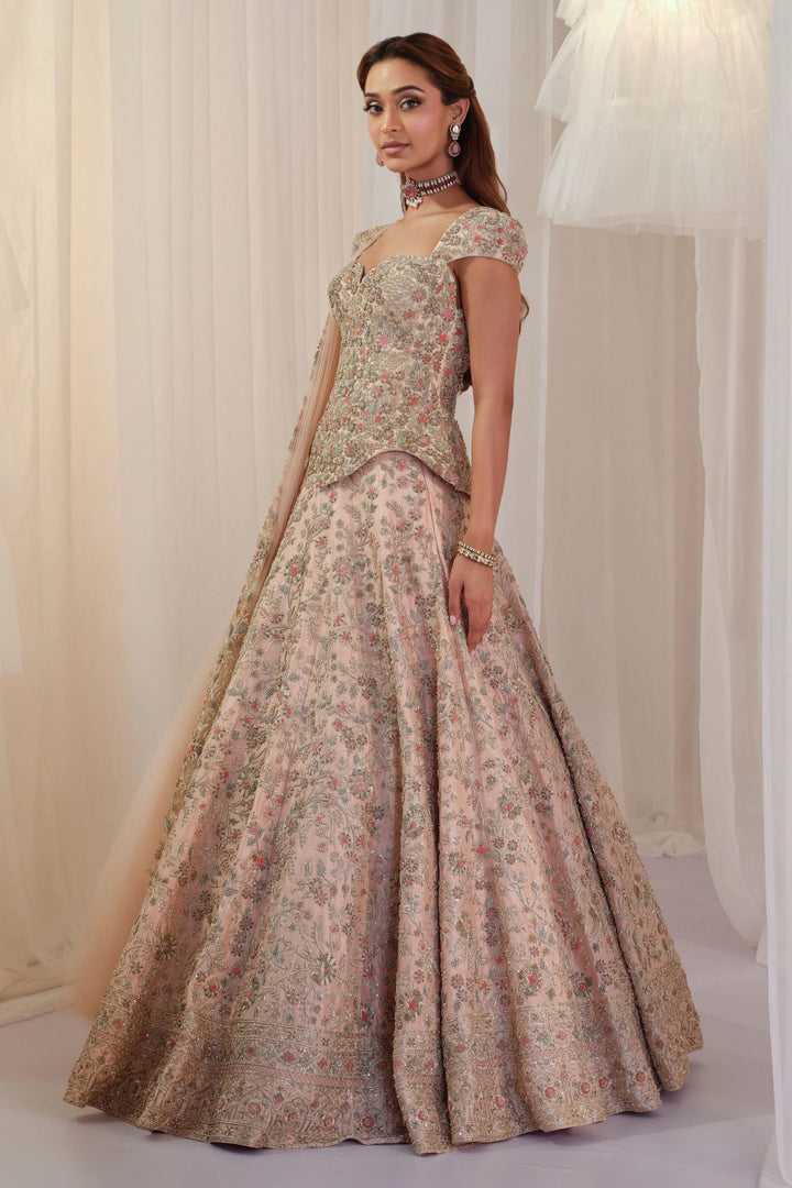 Blush Hand Embellished Corset With Lehenga & Dupatta