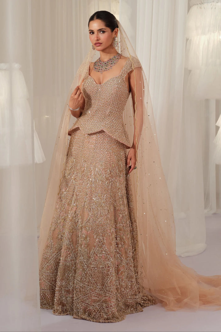 Soft Blush Hand Embellished Peplum Corset With Lehenga & Dupatta