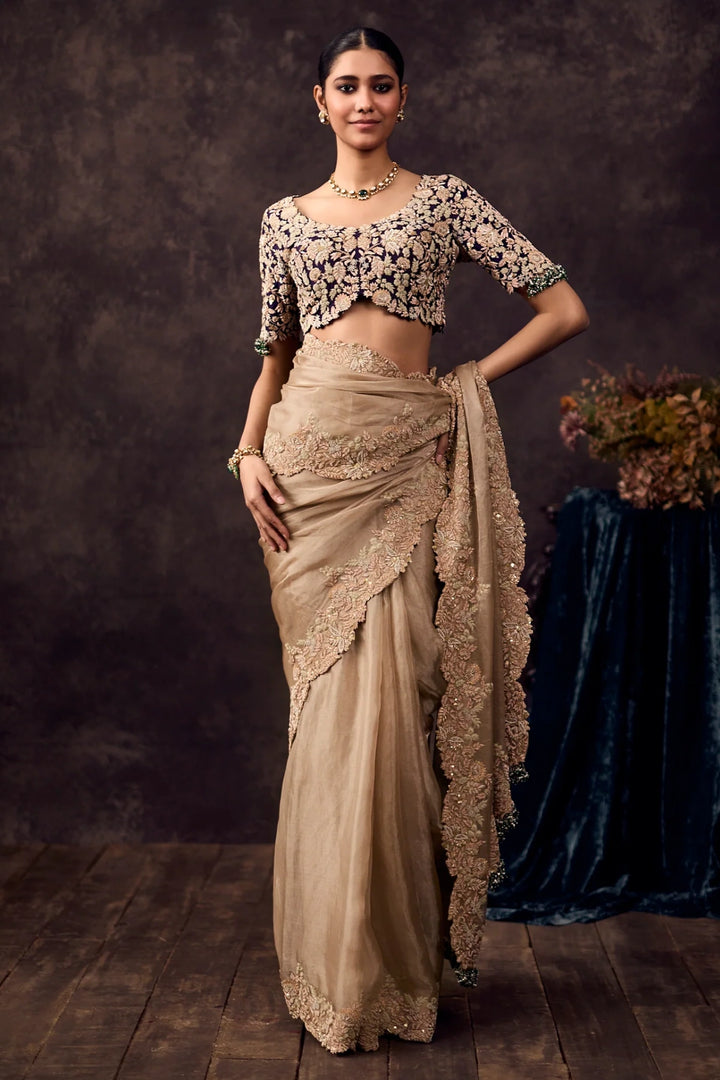 AS Maal Resham Palla Tissue Saree