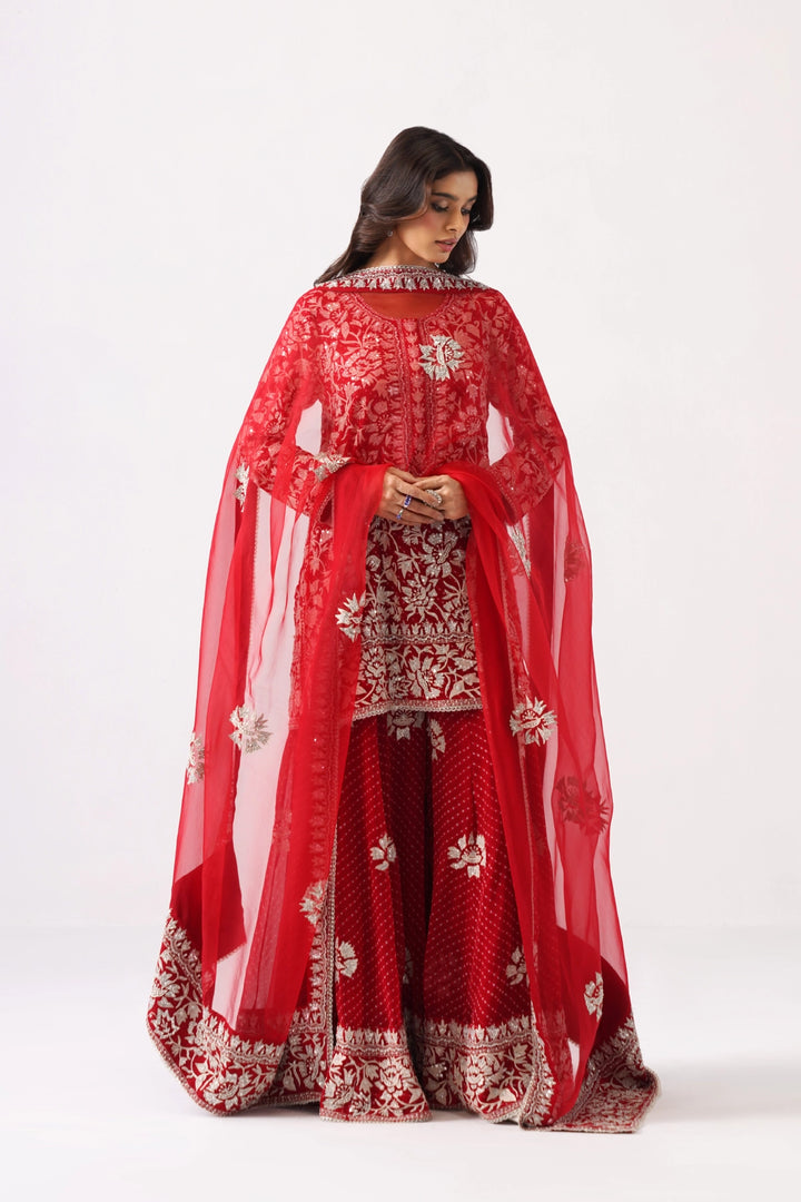 Red Sharara Set
