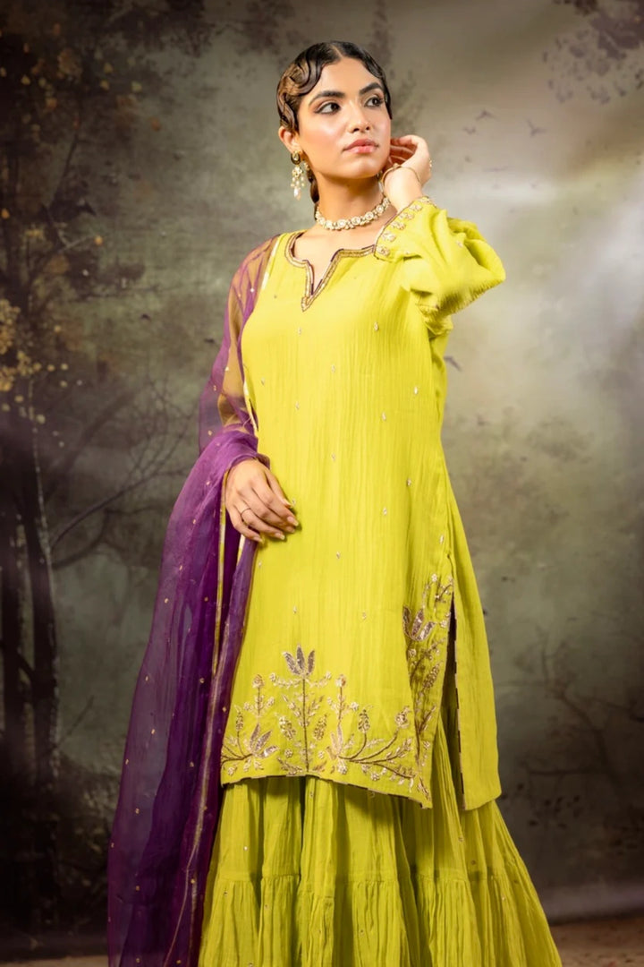 Neon Green Daman Lappa Sharara Set