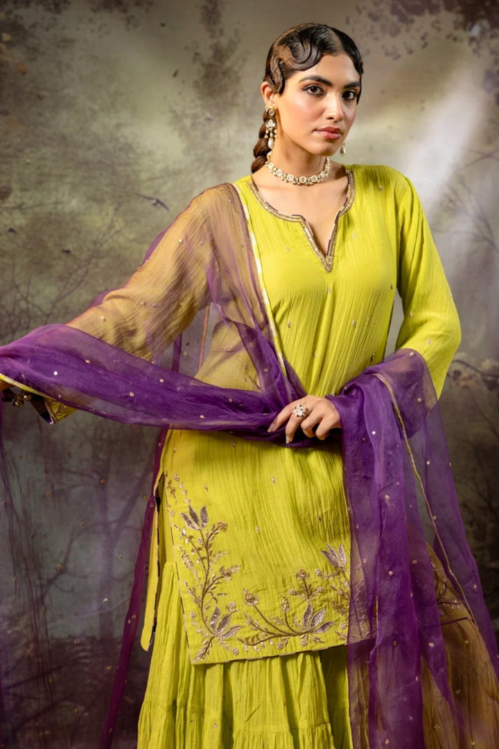 Neon Green Daman Lappa Sharara Set