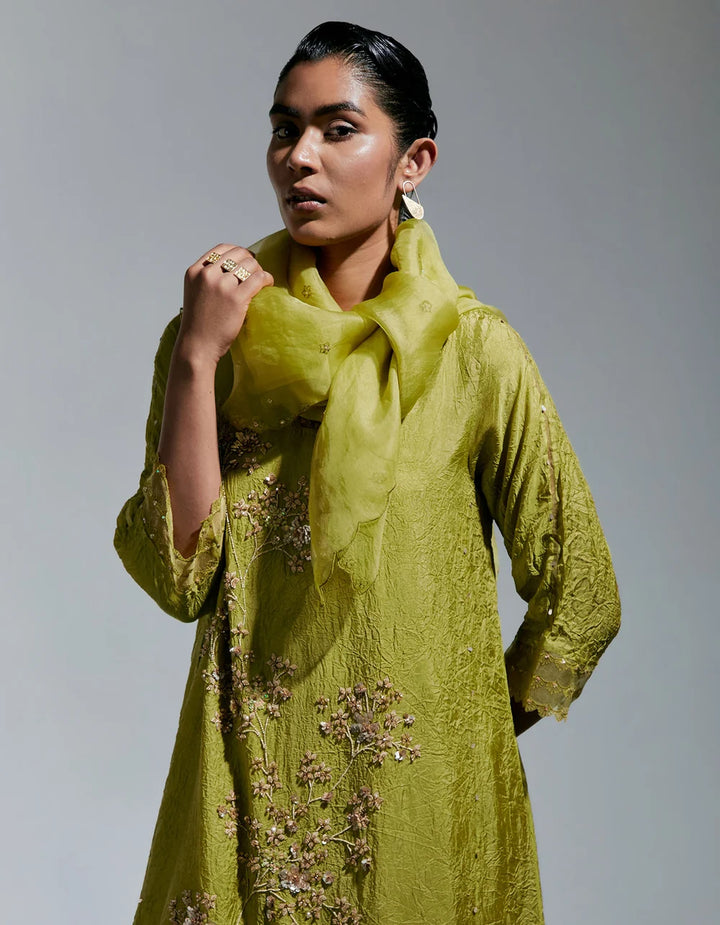 Ont D80 Henna