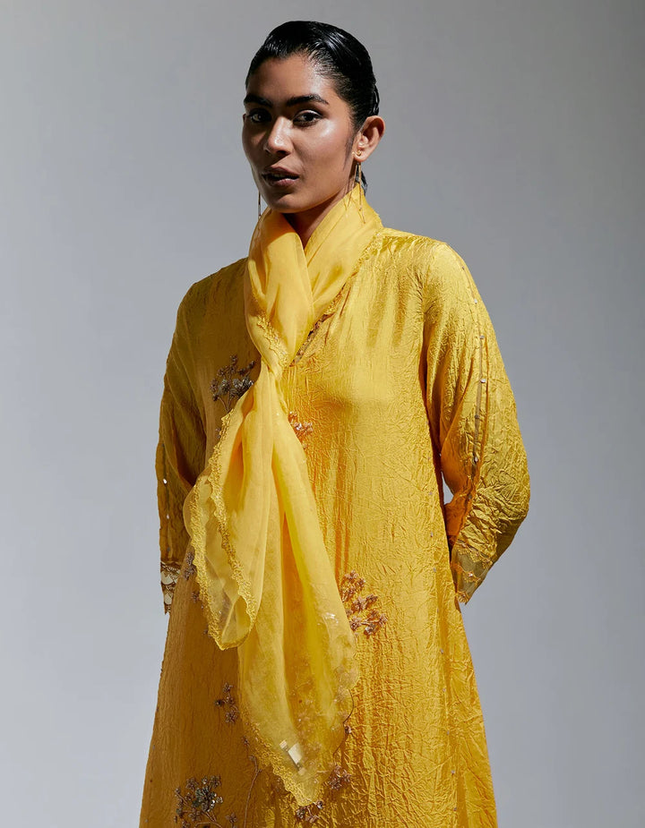 Ont D98 Amber