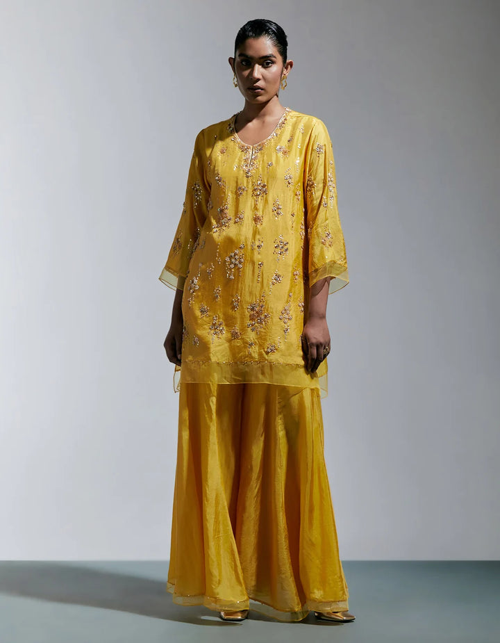 Ont 585 Set Amber