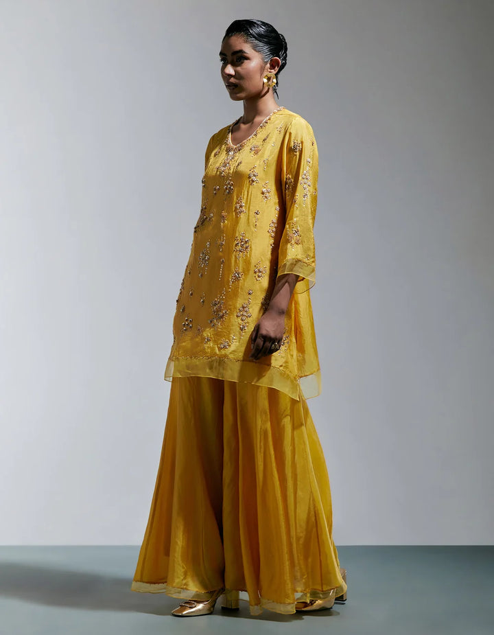 Ont 585 Set Amber