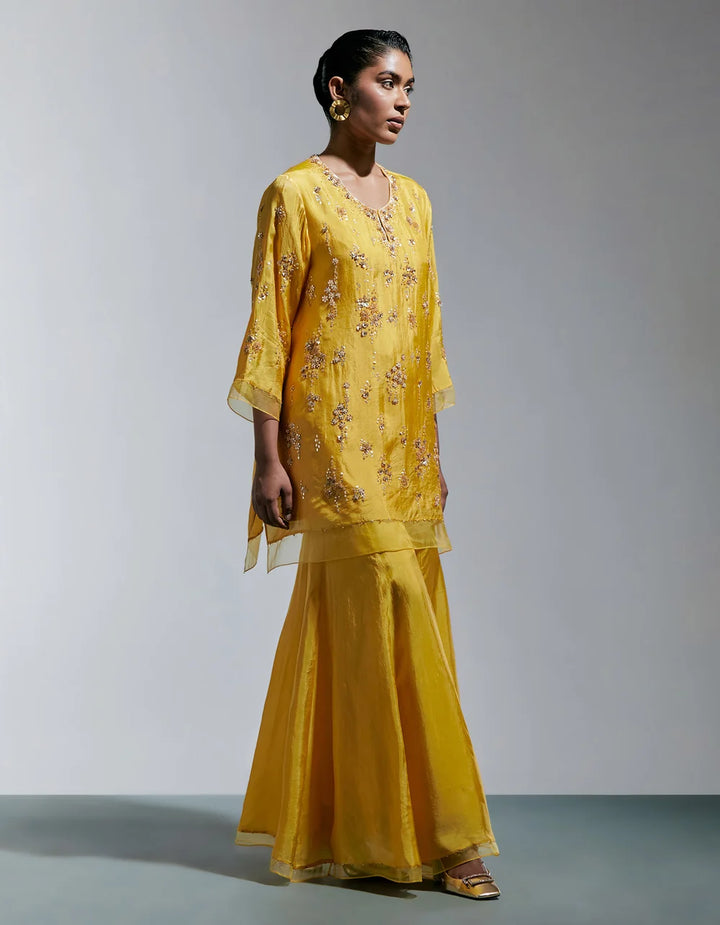 Ont 585 Set Amber