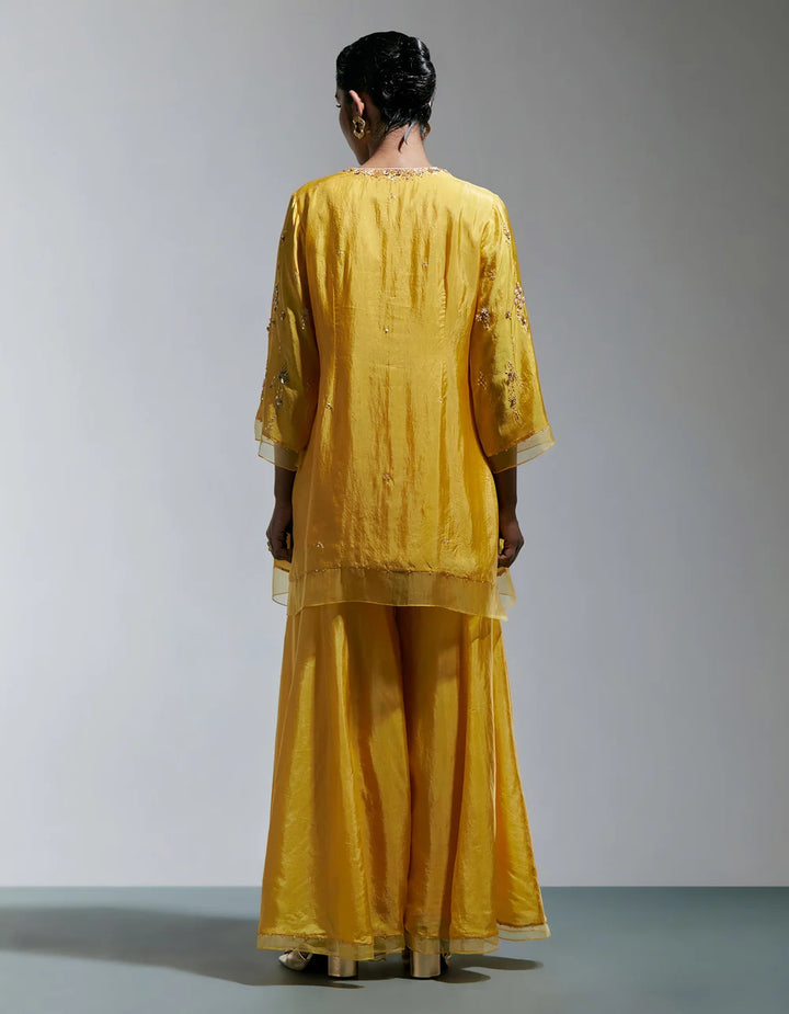 Ont 585 Set Amber