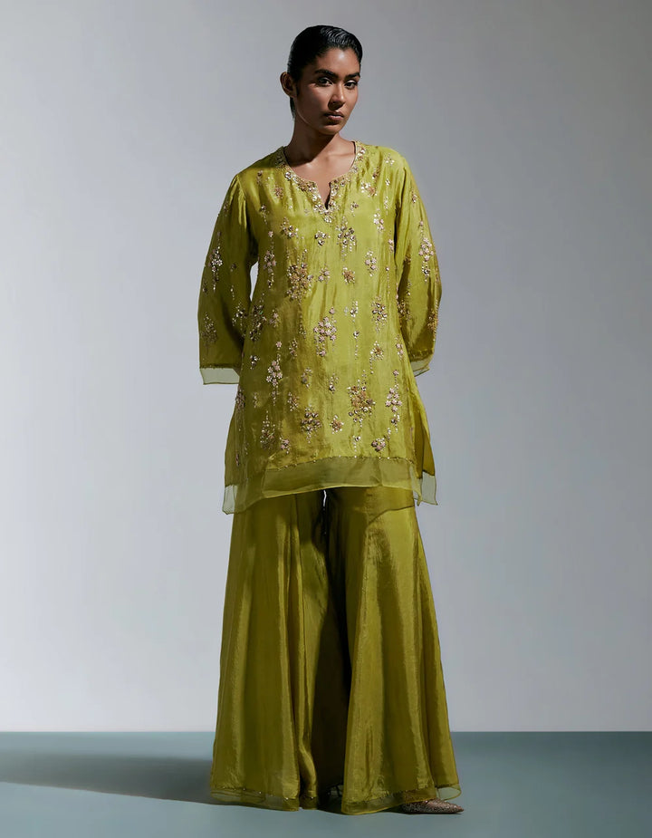 Ont 585 Set Henna