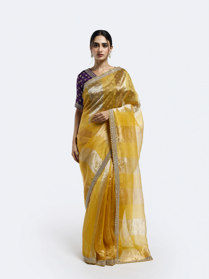 Subtly Panelled Tissue saree