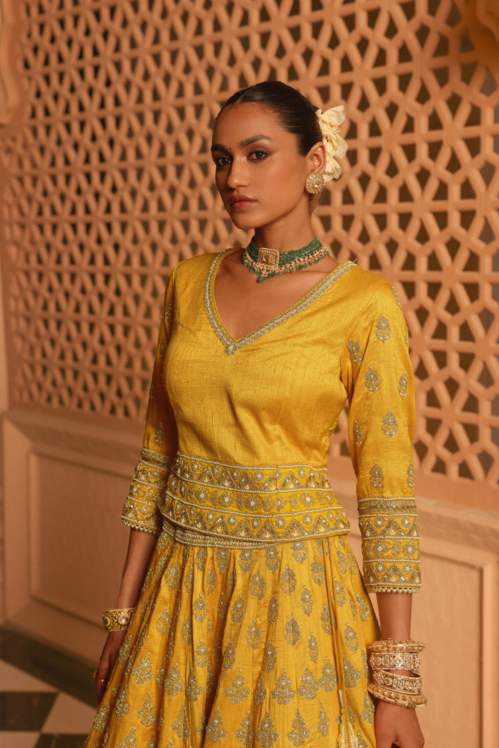 noorali mustard lehenga with choli and dupatta