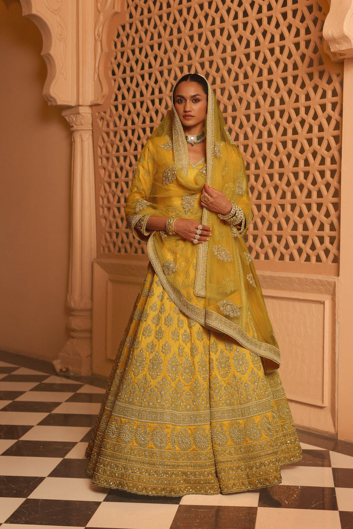 noorali mustard lehenga with choli and dupatta