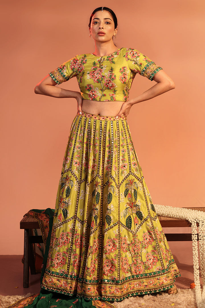 tamaya embroidered lehenga set