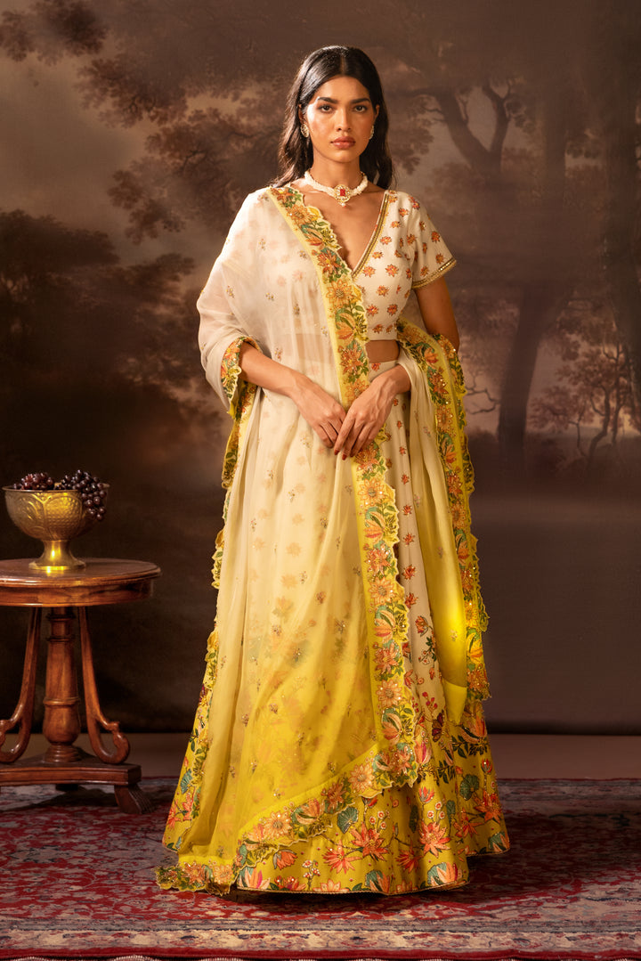 tamaya embroidered lehenga set