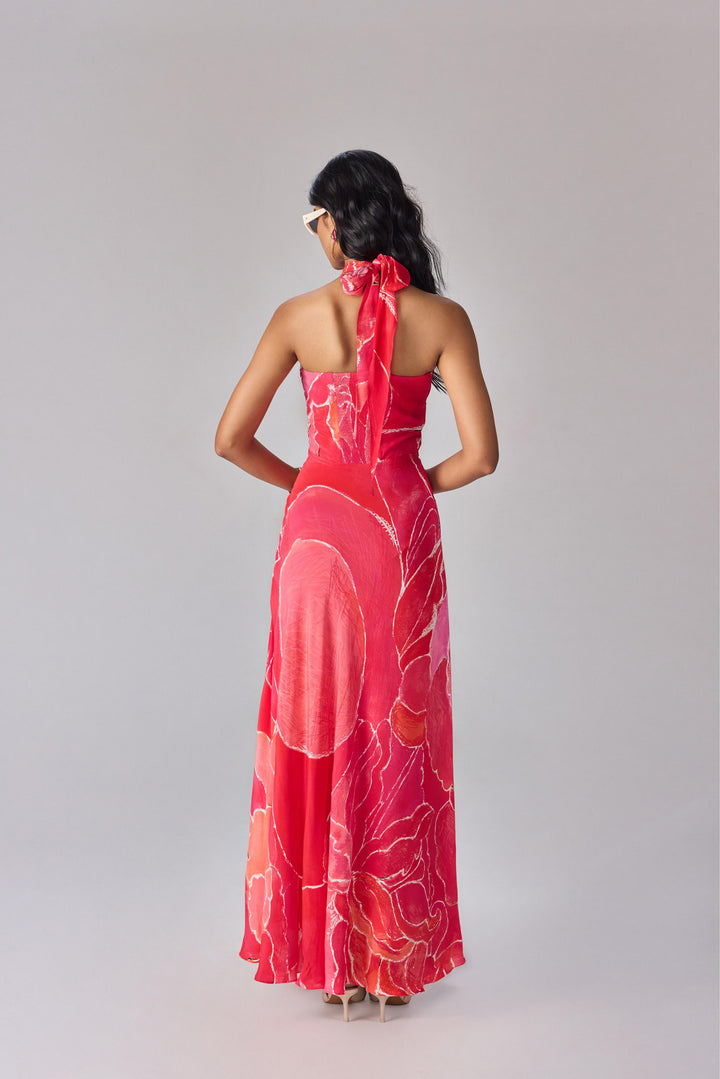 shailee dress