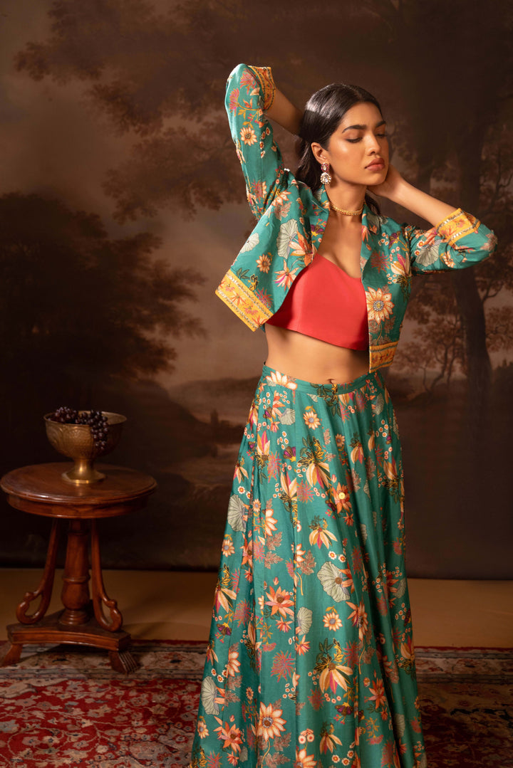 aarani embroidered lehenga set