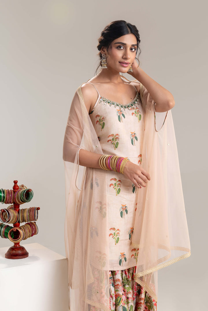 aarani embroidered sharara set with a cape