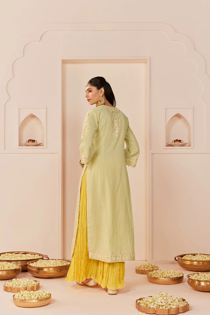 Ruhani - Mint Green Long Kurta With Skirt And Dupatta
