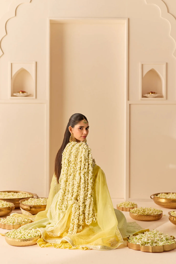 Ruhani - Mint Green Long Kurta With Skirt And Dupatta