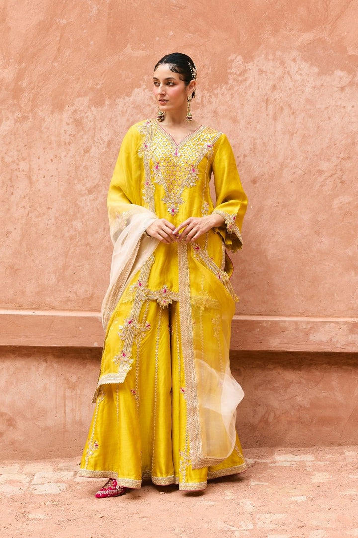 Rohini Sharara Set
