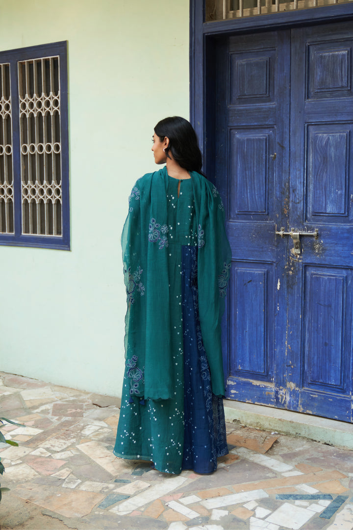 emerald printed anarkali set