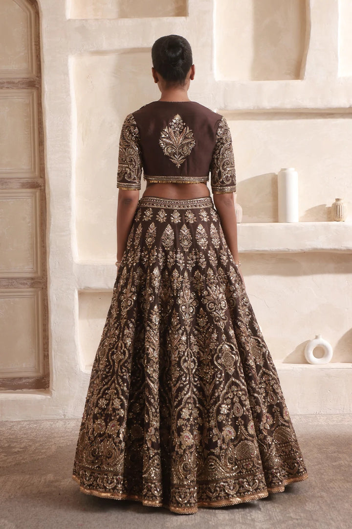 Zar-Rang Brown Jaal Lehenga Set