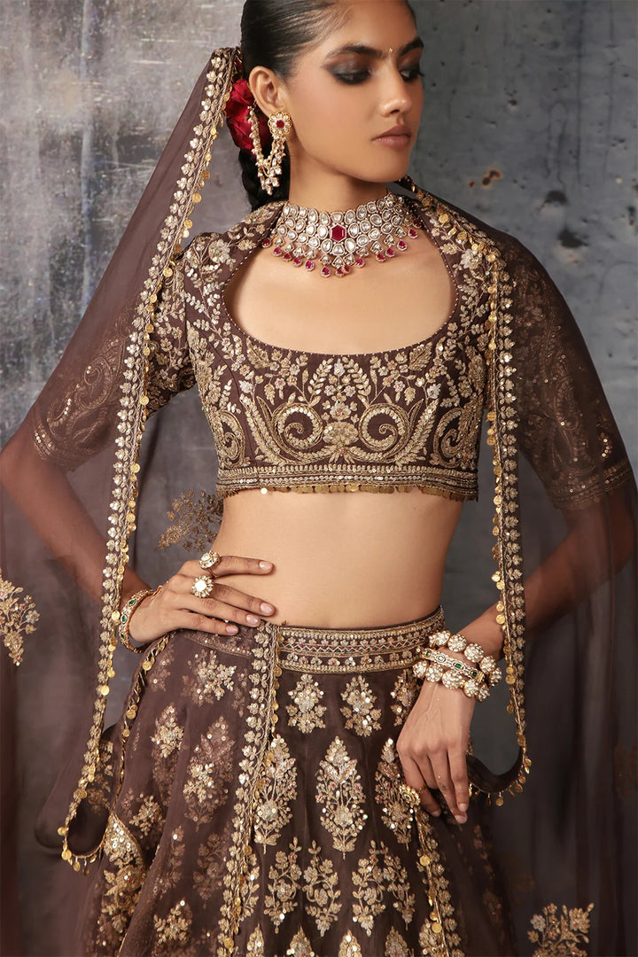 Zar-Rang Brown Jaal Lehenga Set