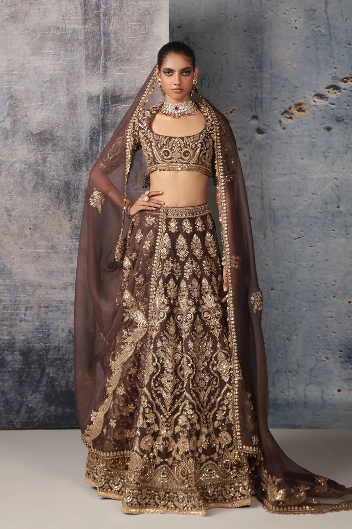 Zar-Rang Brown Jaal Lehenga Set