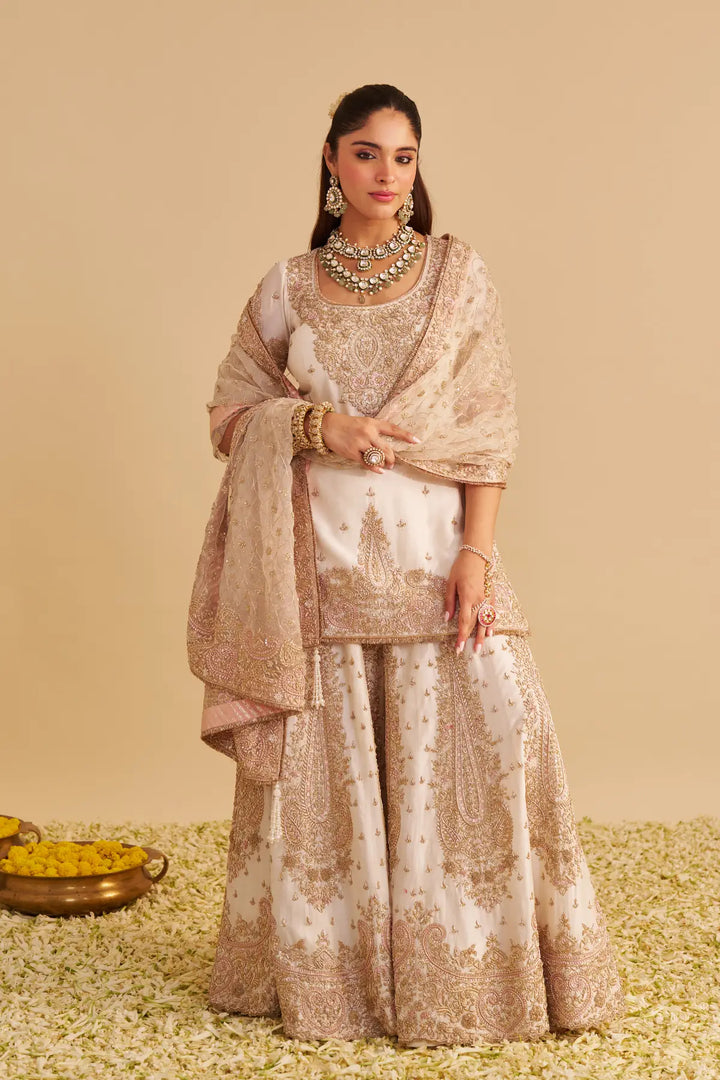 Woman in traditional Sharara with jewellery against a beige background