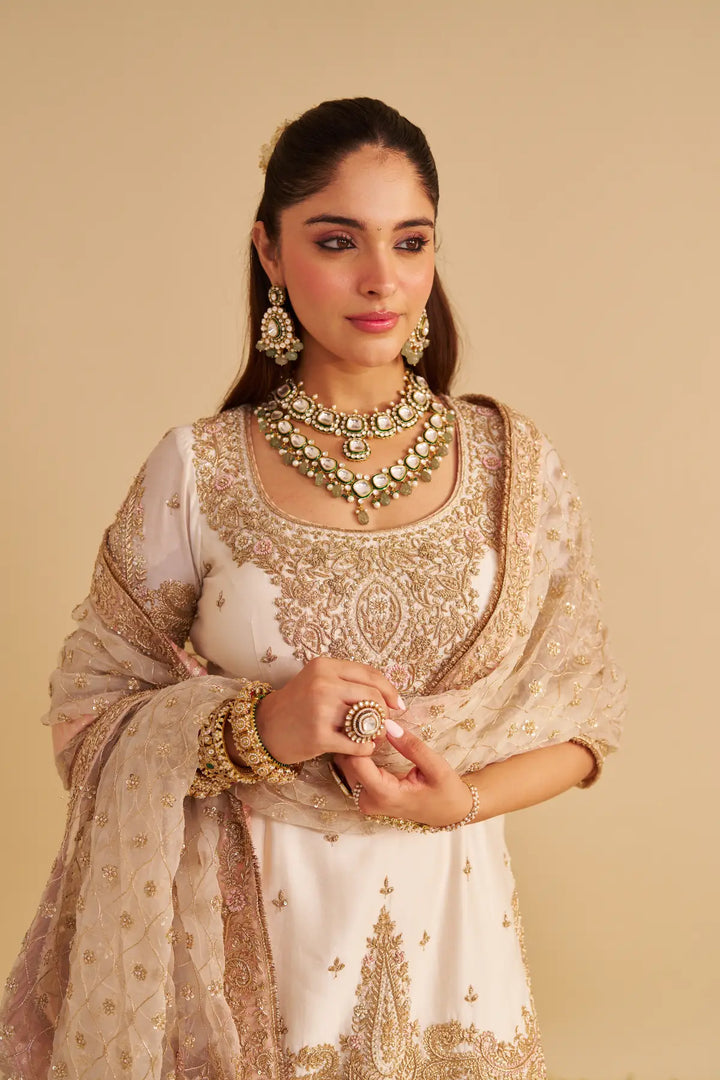 Woman in traditional embroidered Sharara with jewellery on a beige background