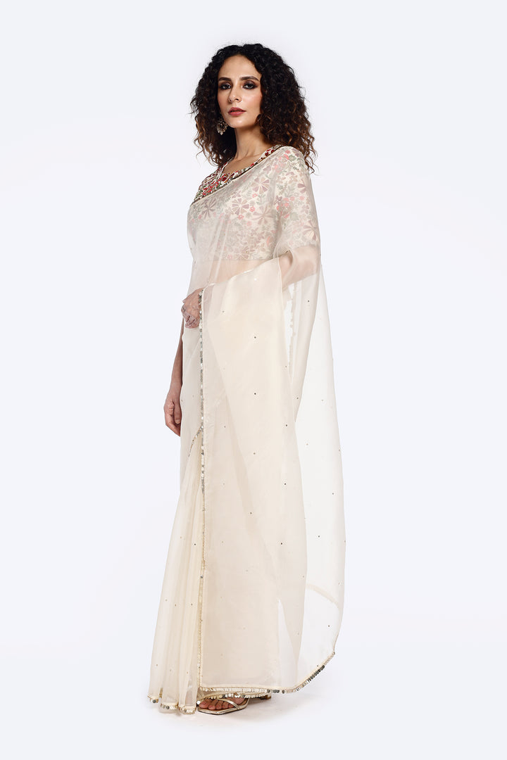 Arev Organza saree