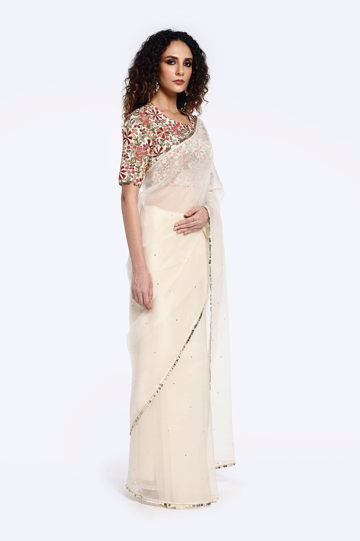 Arev Organza saree