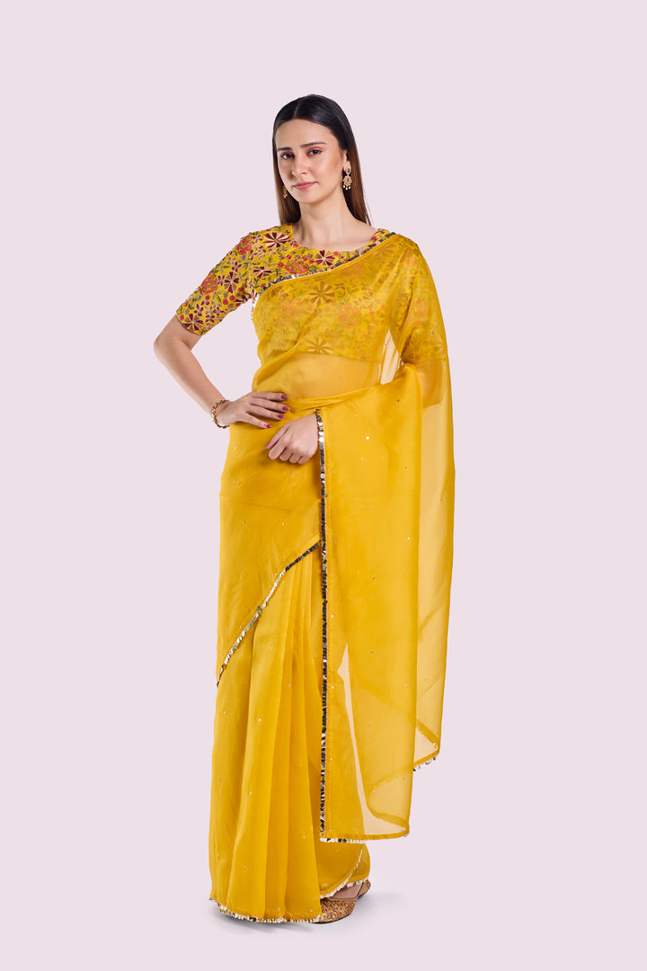 Arev Organza saree
