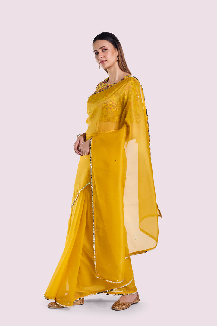 Arev Organza saree