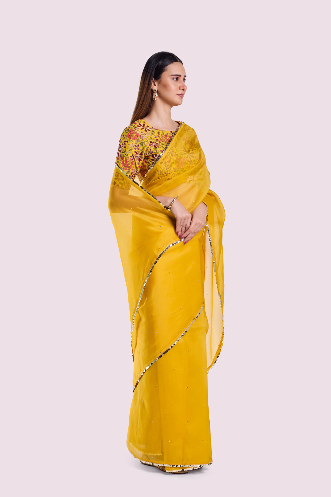 Arev Organza saree