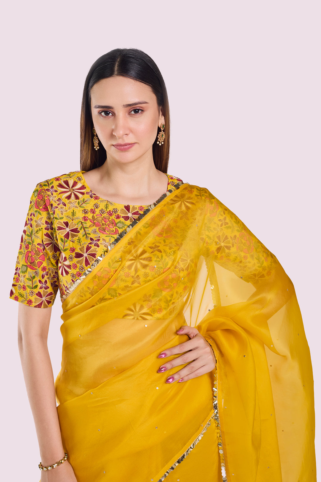 Arev Organza saree