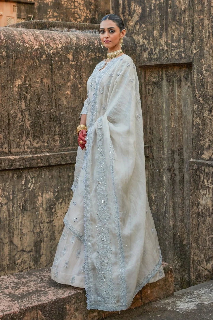 Aarna Tissue Fusion Set