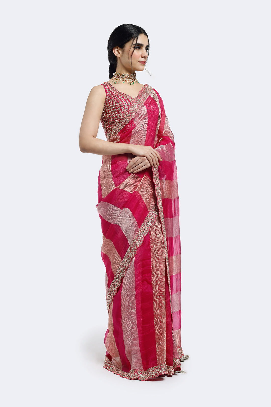 Champagne Panelled Tissue Saree
