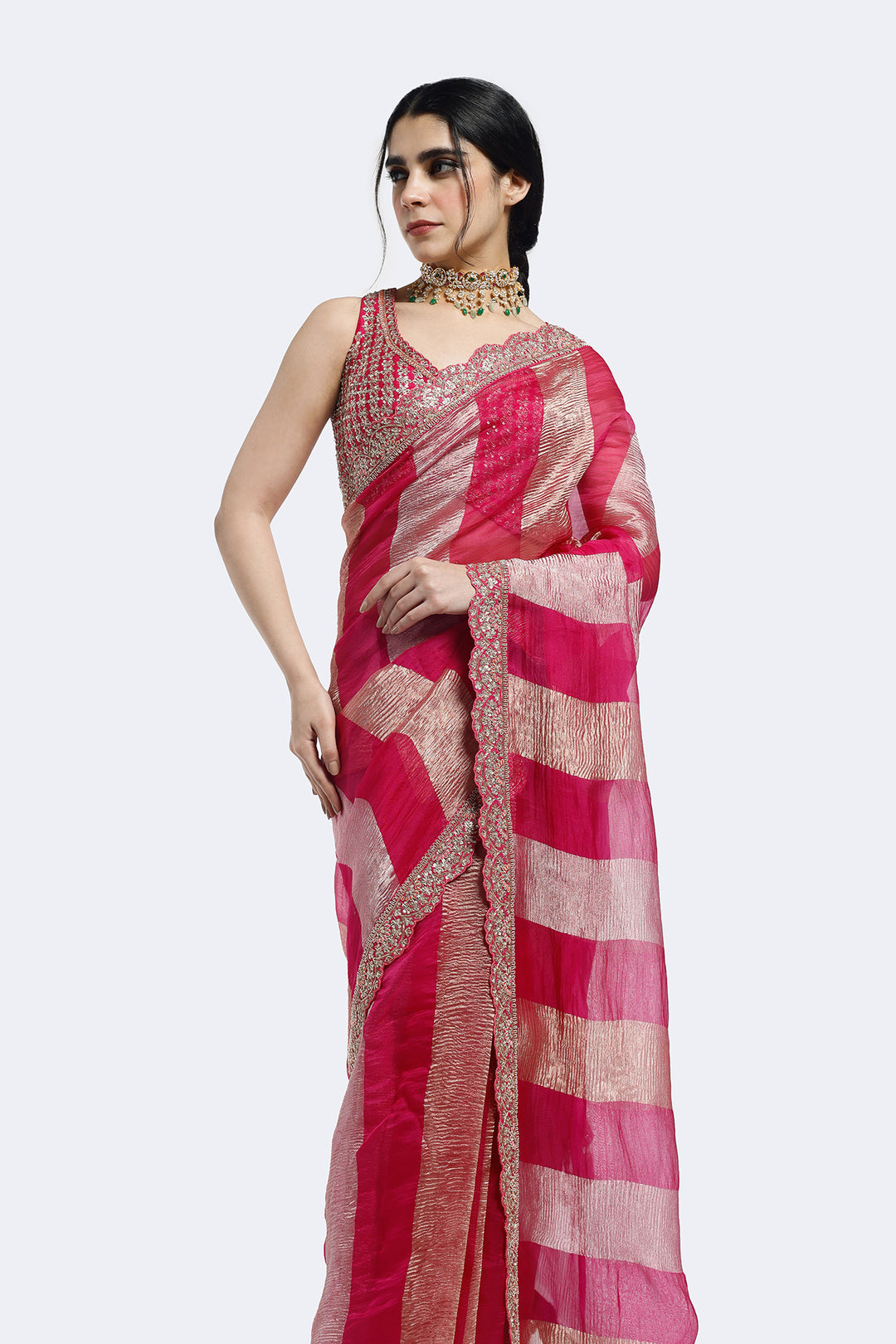 Champagne Panelled Tissue Saree