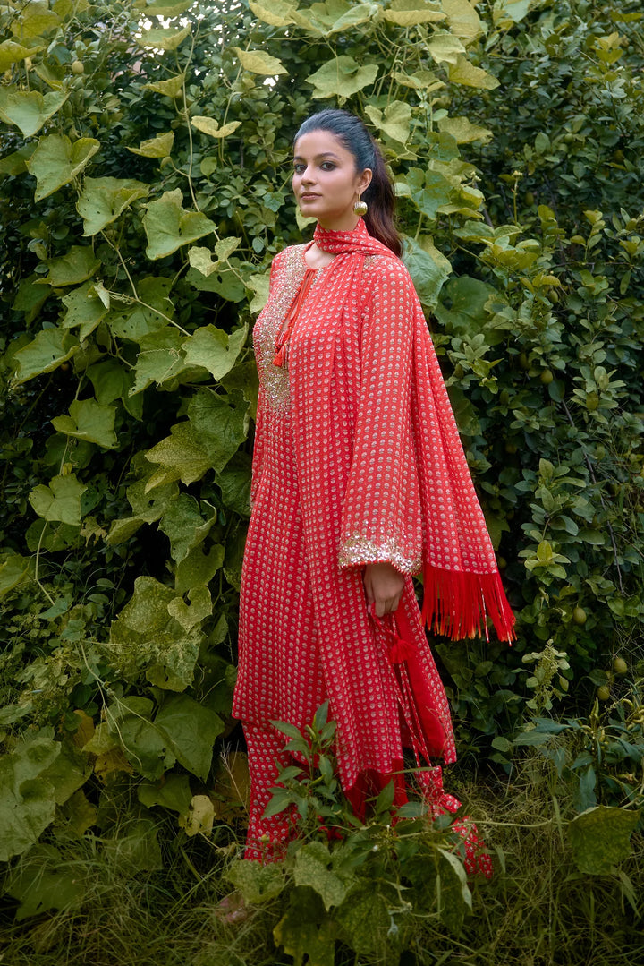 Dilruba Coral Printed Kurta