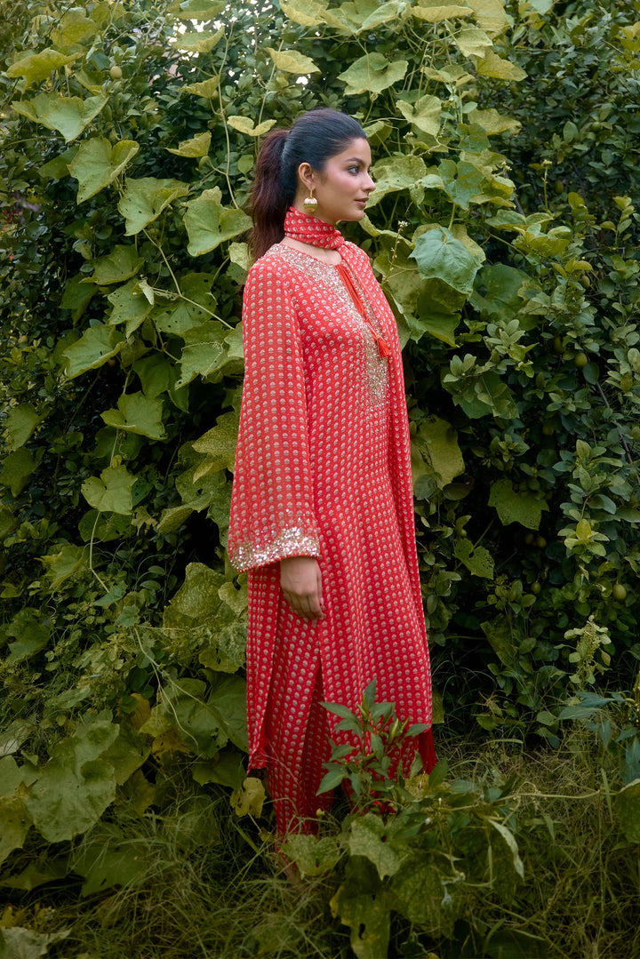 Dilruba Coral Printed Kurta