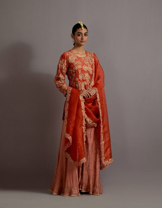 tangerine tissue appliqued boota short kurta sharara set