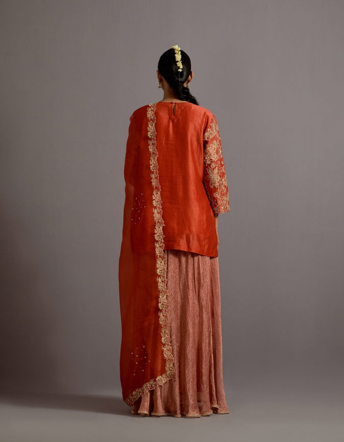 tangerine tissue appliqued boota short kurta sharara set