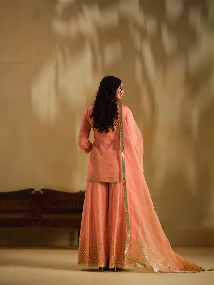 Divya Sharara Set
