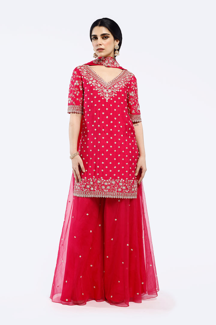 Embroidered organza suit set