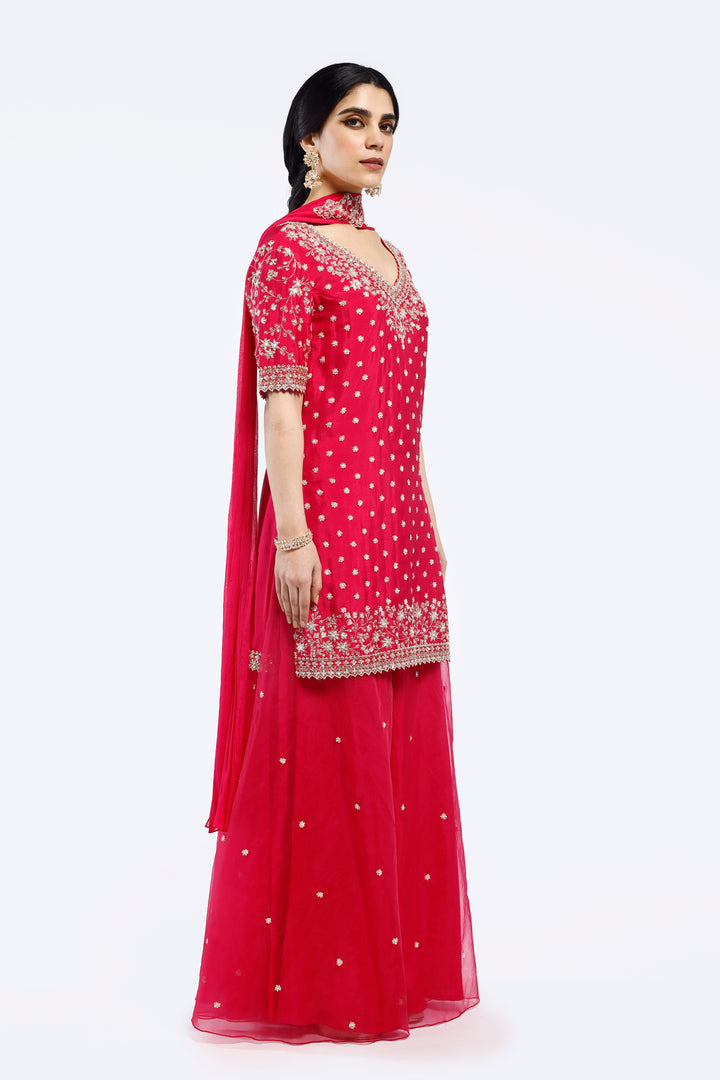 Embroidered organza suit set