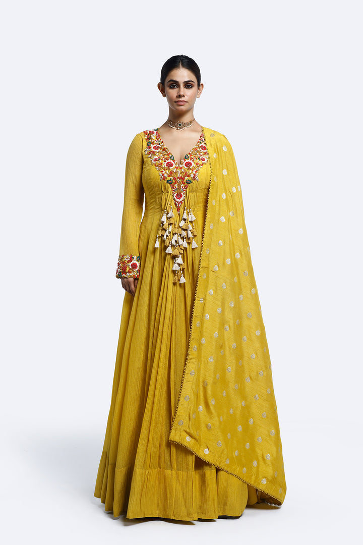 Floral Thread Embroidered Anarkali