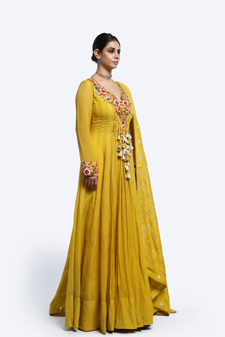 Floral Thread Embroidered Anarkali