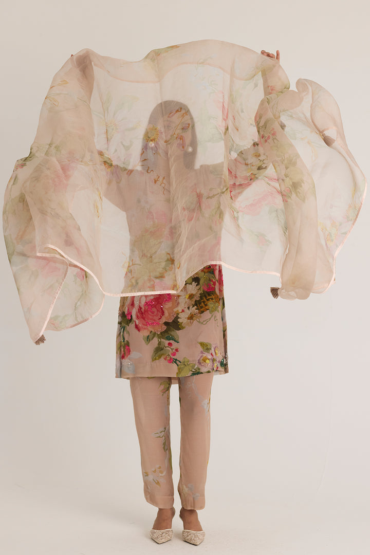 Hazel Organza Dupatta